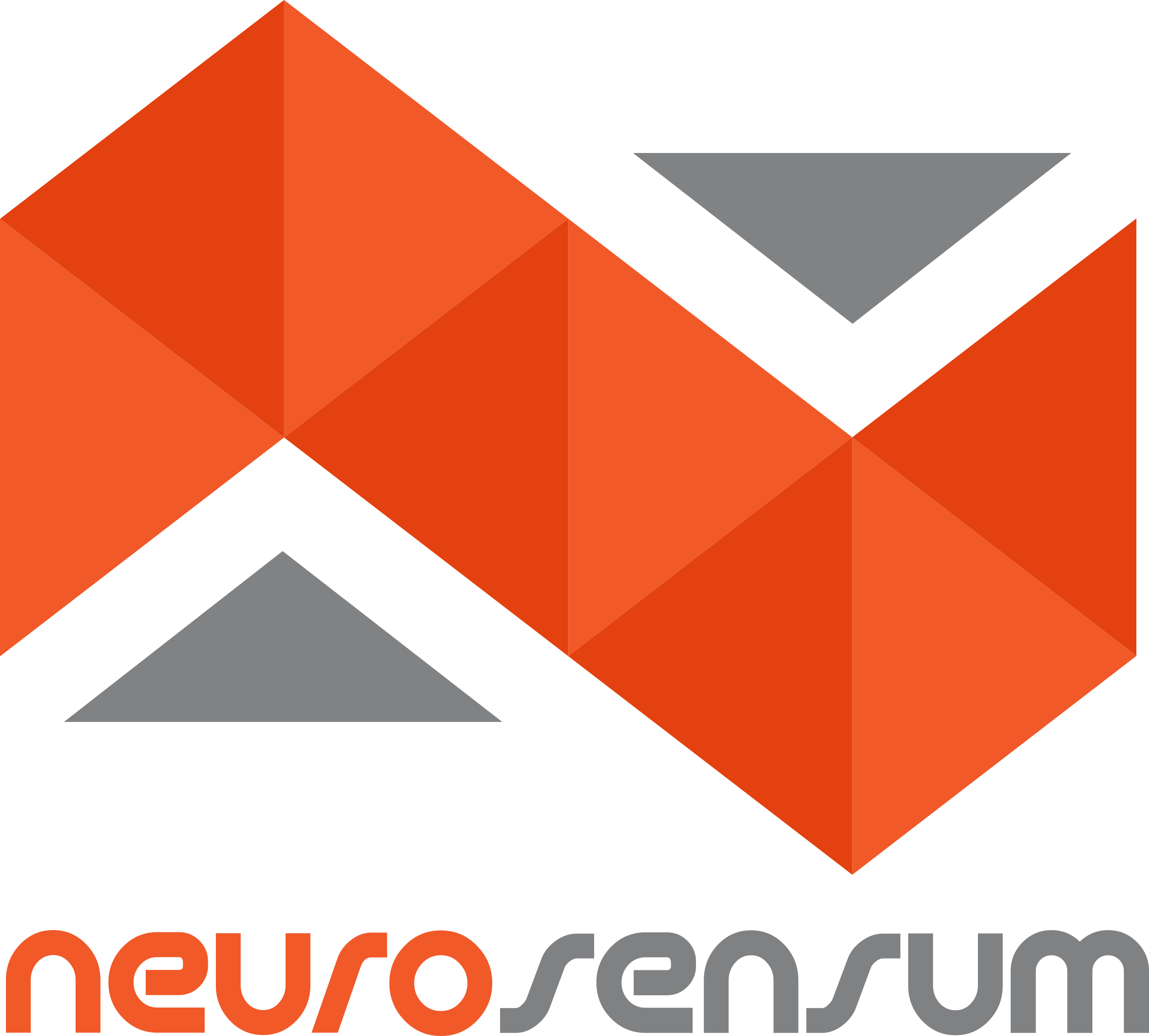 Neurosensum International India Private Limited