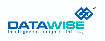 Datawise Management Services India