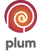Plum Insights and Strategy Pvt. Ltd.